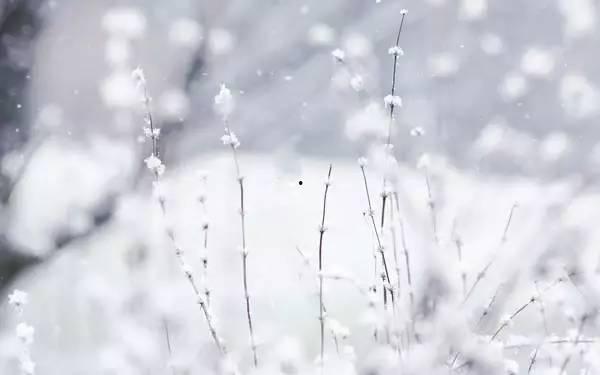 寒衣天子,揭秘古代帝王服饰背后的神秘面纱