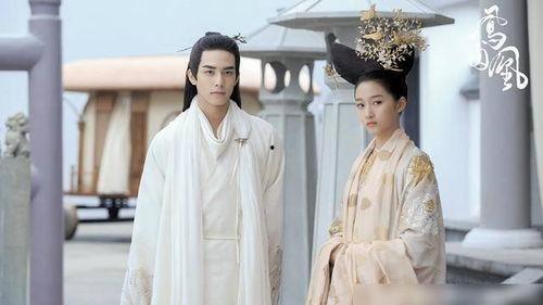 凤囚凰,宫廷权谋与爱恨纠葛的华丽演绎